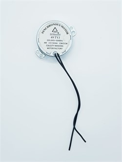 Двигатель 49TYJ для напольного вентилятора 2.5 об/мин Thermex Duomo2000 RTS17476000008534006