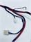0020400462QQ Проводка для стиральной машины Haier HW90-BP14959S, HW90-BP14959 0020400462QQ